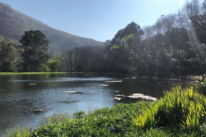 Cape Winelands Tour - Getting there: 9 hours with pickup and air-conditioned comfort