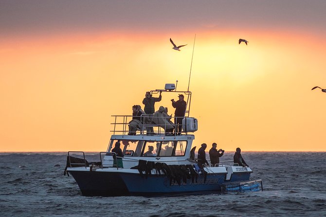 CapeTown: Shark Cage Diving Experience with Scuba - Gear prep: towels, swimsuit strategy, and how to handle the cold
