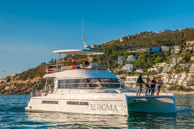Catamaran Cruise and Sushi Experience in Cape Town - Marine life spotting: dolphins, whales, seals, and penguins