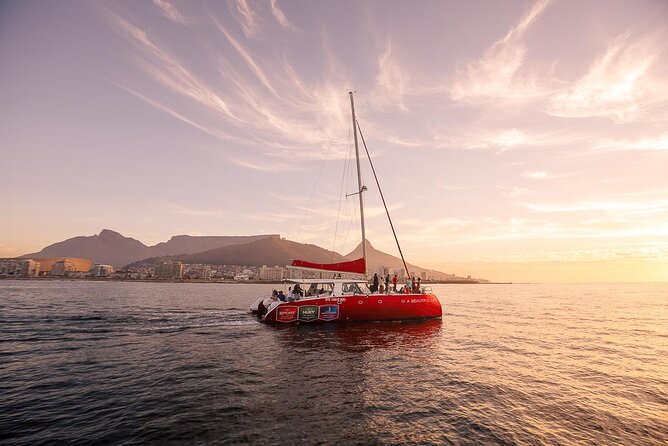 Catamaran Sunset Champagne Cruise Cape Town - Sunset Catamaran Vibes on Cape Town’s Waterline