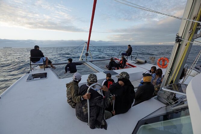 Catamaran Sunset Champagne Cruise Cape Town - Wildlife Watching Off Cape Town: Worth Your Attention