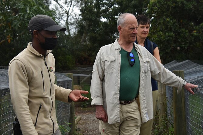 Cats in Conservation - Why Tenikwa’s cat-first focus feels different from a typical wildlife visit