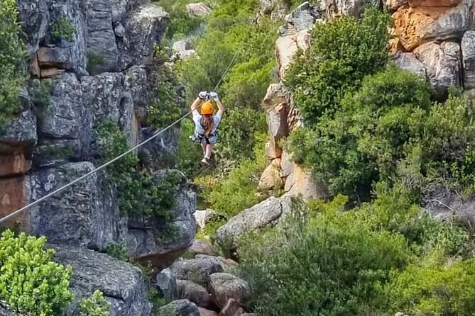 Ceres Zipline Tour - Who Should Book This and Who Might Pass
