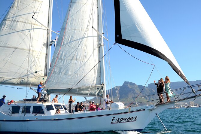 Champagne Cruise (Pre-Sunset) from Cape Town - The 1-Hour Itinerary, Broken Down Like A Local