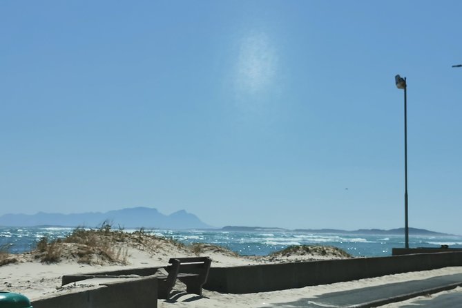 Cheetah Outreach Tour Somerset West, Gordon's Bay and Strand Beaches - Timing, guides, and group size: why it usually feels smooth