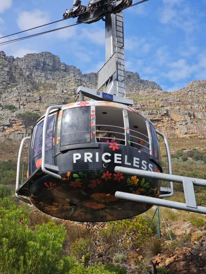 City Tour: Table Mountain, Kirstenbosch & Wine - Table Mountain cable car summit: photos, breaks, and pacing