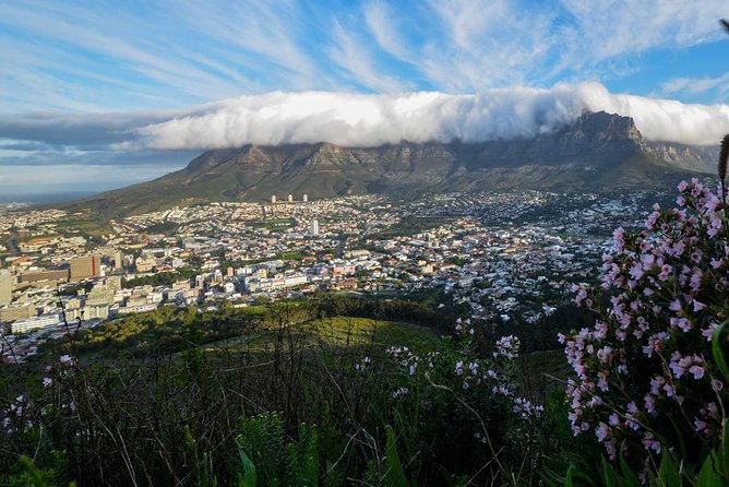 City Tours - Cape Town Central: Cape Castle, Greenmarket Square, Parliament Building