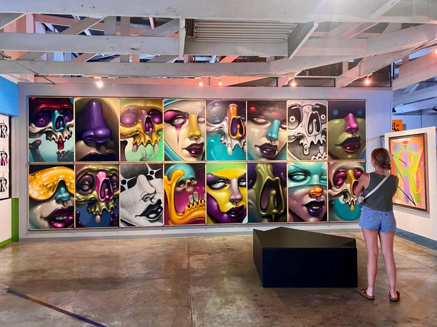 Colours of Johannesburg: A Graffiti & Street Art Tour - The graffiti store visit: where murals start as supplies