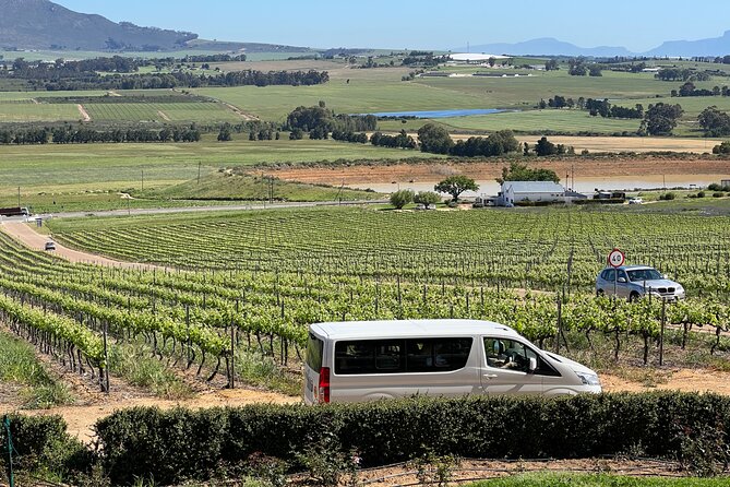 Constantia Half day Wine Tasting tour - Stop 3: Constantia Nek slopes, False Bay views, and the Constantia Glen lunch moment