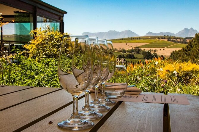 Constantia Half day Wine Tasting tour - Hotel pickup around 09H50 and the comfort factor in the vehicle