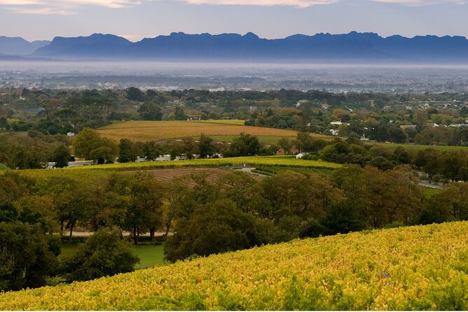 Constantia Hidden Gem Cycle Half Day - Private Tour - Starting at Groot Constantia: Your First Real Taste of the Setting