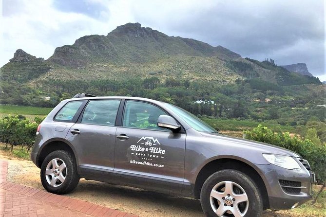 Constantia Hidden Gem Cycle Half Day - Private Tour - Riding Between Constantia Estates: What You’re Actually Doing
