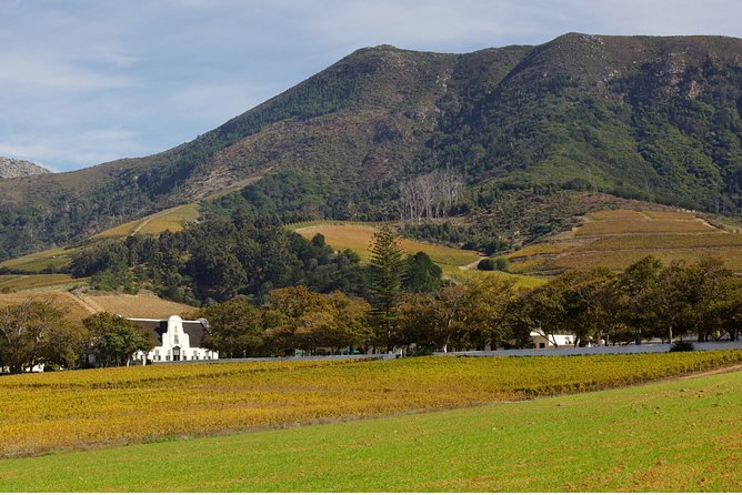 Constantia Hidden Gem Cycle Half Day - Private Tour - Bike, Helmet, and Vehicle Support: Comfort That Makes a Difference