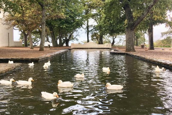 Constantia Hidden Gem Cycle Half Day - Private Tour - Price and Value: What $148.64 Gets You