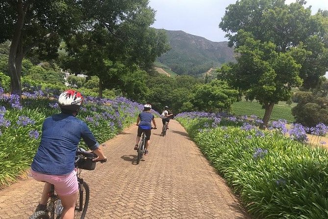 Constantia Hidden Gem Cycle Half Day - Private Tour - Who This Tour Fits Best (and Who Should Skip It)