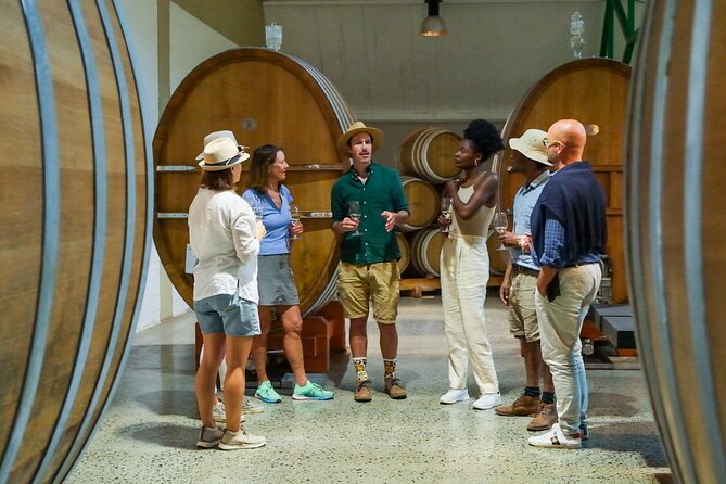 Constantia Wine Walk Storytelling Vineyard Tour with Lunch - Stop 1, Groot Constantia: The Oldest Wine Farm and Four Tastings in the Cellar Zone