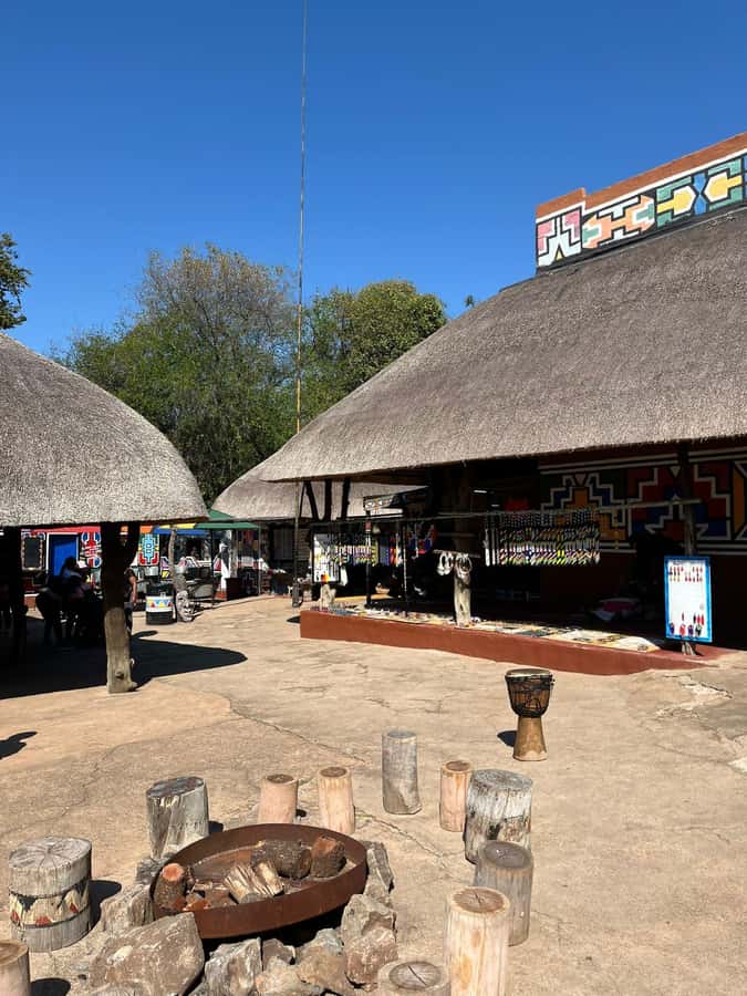 Cradle of Humankind and Lesedi Cultural Village - The Food Part, Lunch on Your Own and How to Make It Worth It