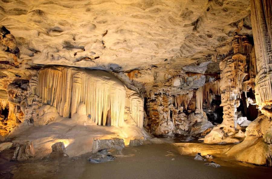 Cradle of Humankind and Sterkfontein Caves Half-Day Tour - Key things worth knowing before you go