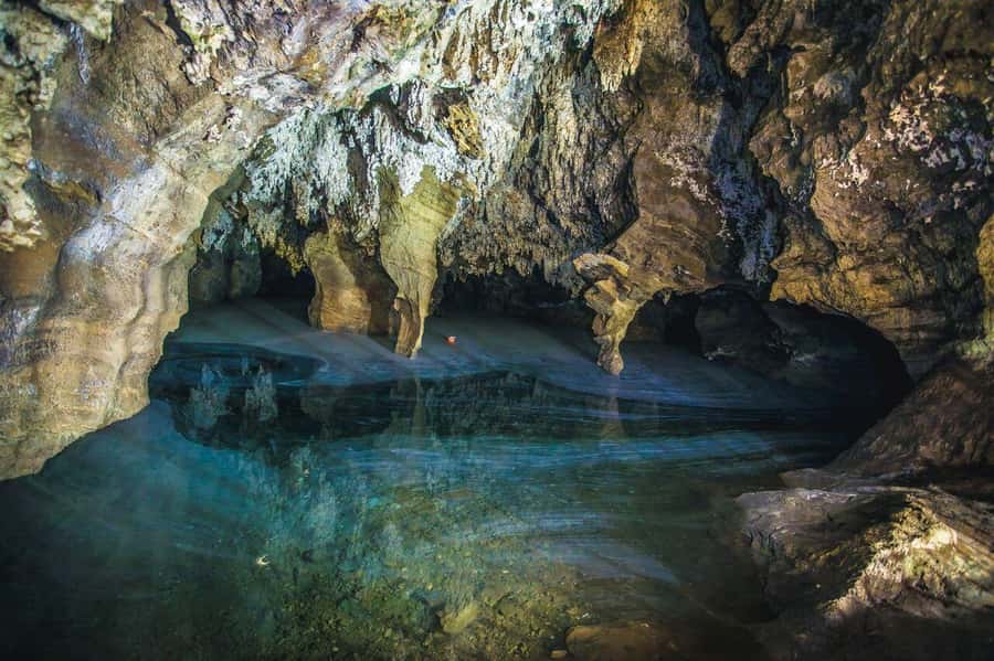 Cradle of Humankind and Sterkfontein Caves Half-Day Tour - Snack, lunch, and that food reality check