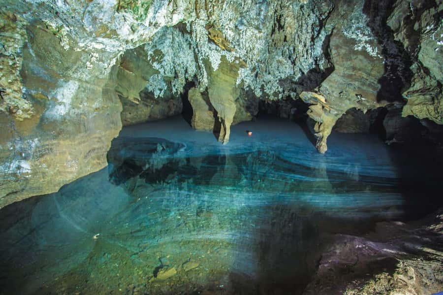 Cradle of Humankind and Sterkfontein Caves Half-Day Tour - Shopping for fossil replicas and local crafts