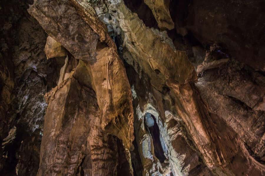 Cradle of Humankind and Sterkfontein Caves Half-Day Tour - Should you book the Cradle of Humankind and Sterkfontein Caves half-day tour?