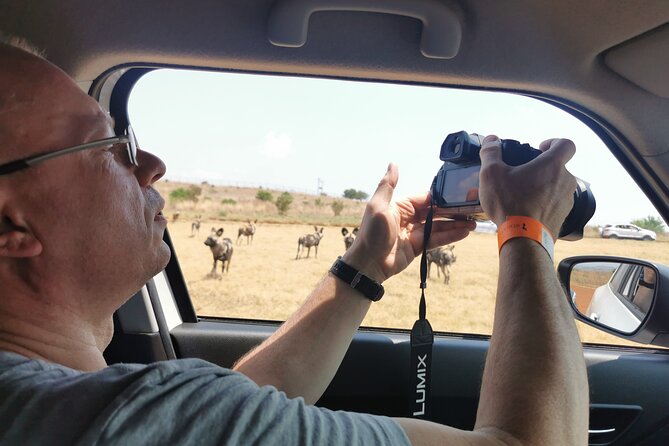 Cradle of Humankind, Caves or Maropeng, Rhino and Lion Park - Timing and logistics for a smooth 5- to 7-hour day