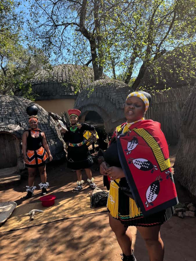 Cradle Of Humankind, Lesedi Cultural Village & Lion's Park - Key Things That Make This Day Trip Worth It