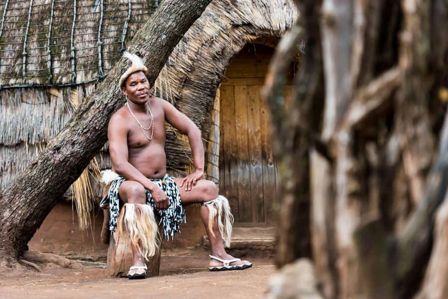 Cradle Of Humankind, Lesedi Cultural Village & Lion's Park - Lesedi Cultural Village: Five Homesteads, Dance Shows, and Lunch You Need to Plan For