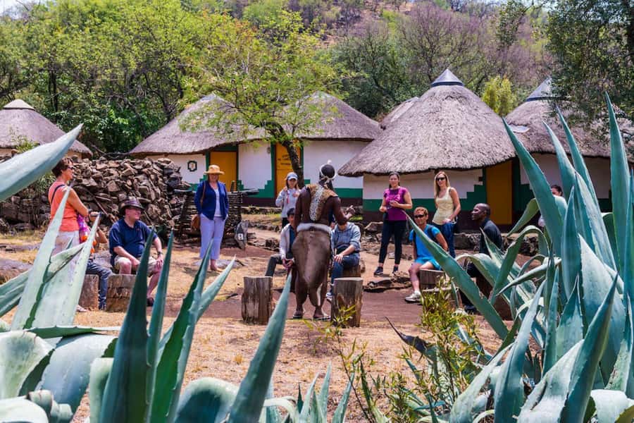 Cradle Of Humankind, Lesedi Cultural Village & Lion's Park - Lion & Safari Park: 4 Close Encounters, a Guided Drive, and Clear Rules for Safe Animal Viewing