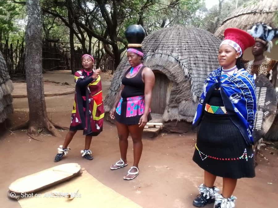 Cradle Of Humankind, Lesedi Cultural Village & Lion's Park - Who This Tour Suits Best, and Who Should Rethink It