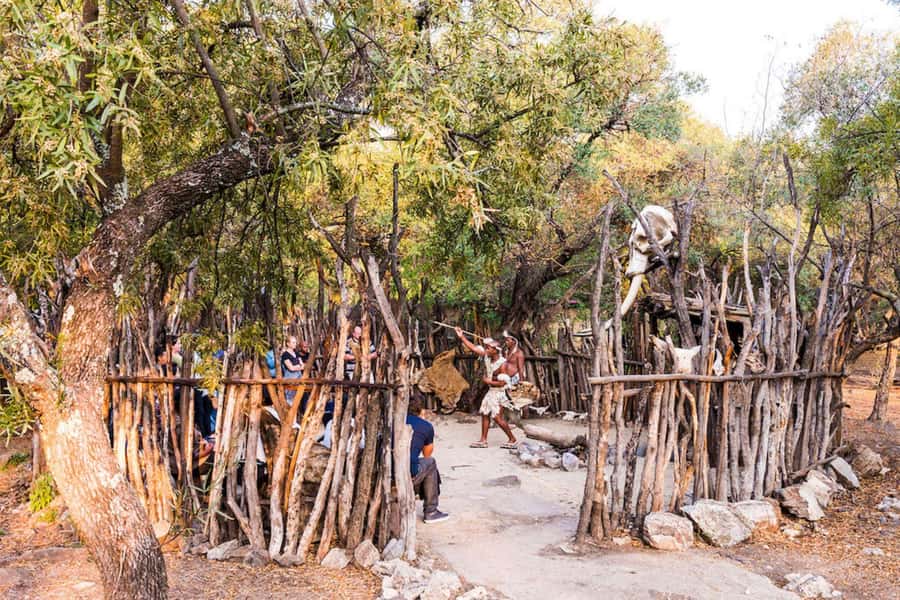 Cradle Of Humankind, Lesedi Cultural Village & Lion's Park - The Bottom Line: Should You Book This Cradle, Lesedi, and Lion Day?