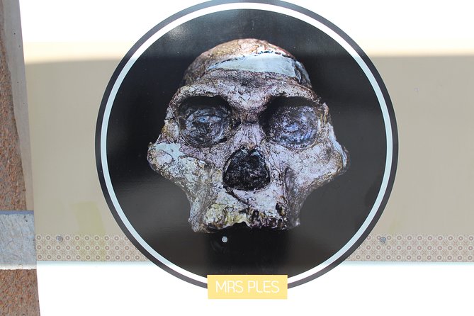 Cradle of Humankind Tour - Sterkfontein Caves with Maropeng Tour - Timing, Transit Comfort, and the Real Shape of a 7-Hour Day