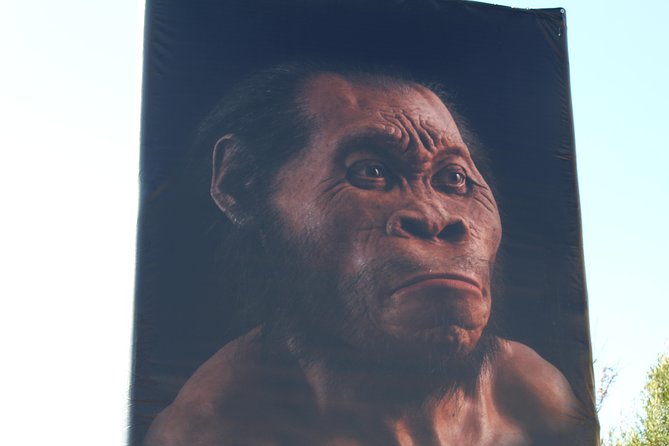 Cradle of Humankind Tour - Sterkfontein Caves with Maropeng Tour - Who This Tour Fits Best (And Who Might Want a Different Plan)