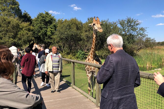 Cradle of Humankind Tour with Lion Safari from Johannesburg - Why this Johannesburg day trip blends lions with human evolution