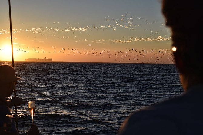 Cruise and Dine Dinner / Cape Town: Sunset Champagne Cruise and 3-Course Dinner - The 90-minute sunset cruise, wine in hand and the sea doing its thing