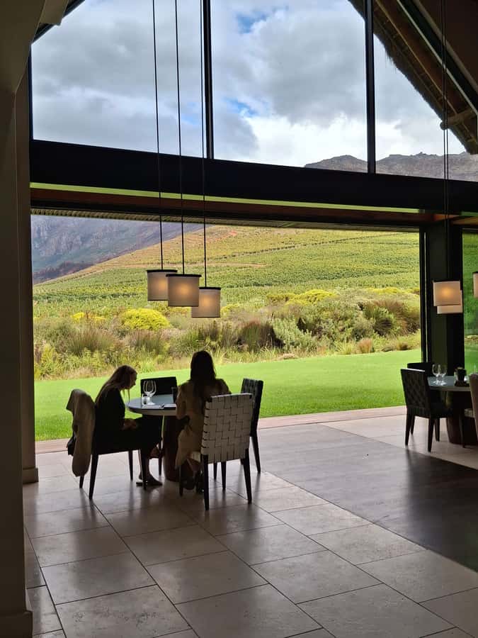 CUSTOMISED PRIVATE WINE TOUR WITH LUNCH - CAPE TOWN - Oldenburg Vineyard, when the view does some of the work