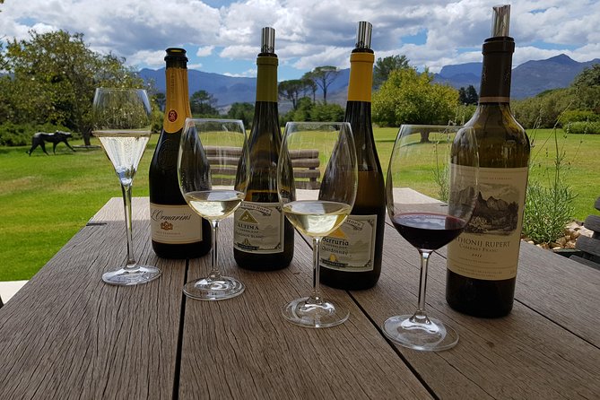 Customized Private Wine Tour - Kanonkop Wine Estate: a classic red-focused stop with serious pedigree