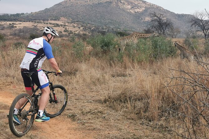 Cycling in a Forest close to Johannesburg and Pretoria - First Ride Reality Check: What This 4-Hour Adventure Really Means