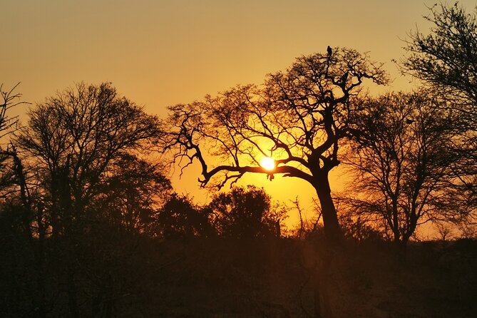 Cycling in a Forest close to Johannesburg and Pretoria - Pace, Distance, and Effort: How to Choose the Right Expectations