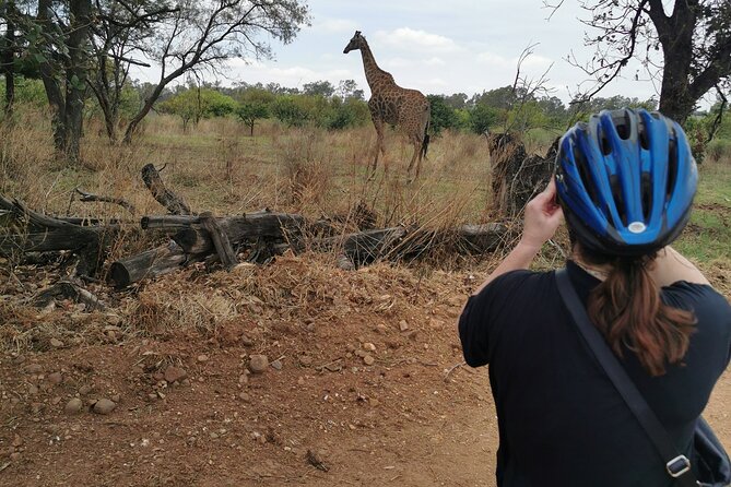 Cycling in a Forest close to Johannesburg and Pretoria - Getting Picked Up and Rolling Out From Pretoria or Johannesburg