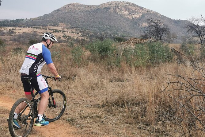 Cycling The Cradle of Humankind in Game Reserve - Why the Cradle of Humankind bike trails feel different from a drive