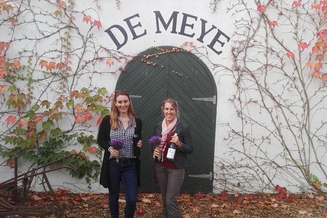 Daily Different small group WINE tour - STELLENBOSCH PICKUP only - Timing, Comfort, and a Heads-Up on Real-World Road Conditions