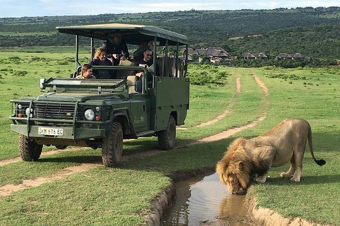 Day Safari at Pumba Private Game Reserve - Lunch and Refreshments Around 12:30, Then Back by 13:30