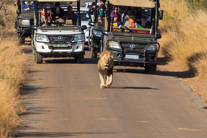 Discover the Pilanesberg with a personalized full day safari - Getting There From Johannesburg Without Losing the Day