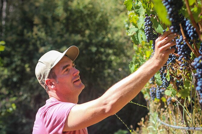 Drumstruck at Silvermist. Live African Drum Show & Wine tasting - Starting at Silvermist Organic Wine Estate and meeting Gregory Brink Louw