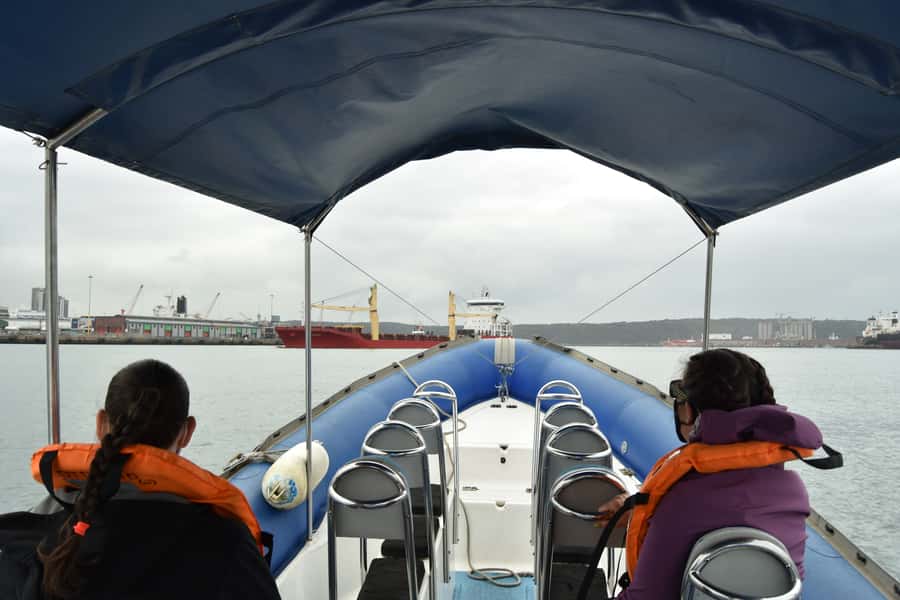 Durban: 1-Hour Boat Cruise from Wilson's Wharf - Weather and sea conditions: what rain and rough water can change