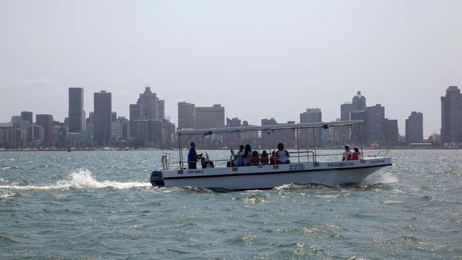 Durban: 1-Hour Boat Cruise from Wilson's Wharf - Durban from the sea: why this one-hour cruise is such a smart use of time