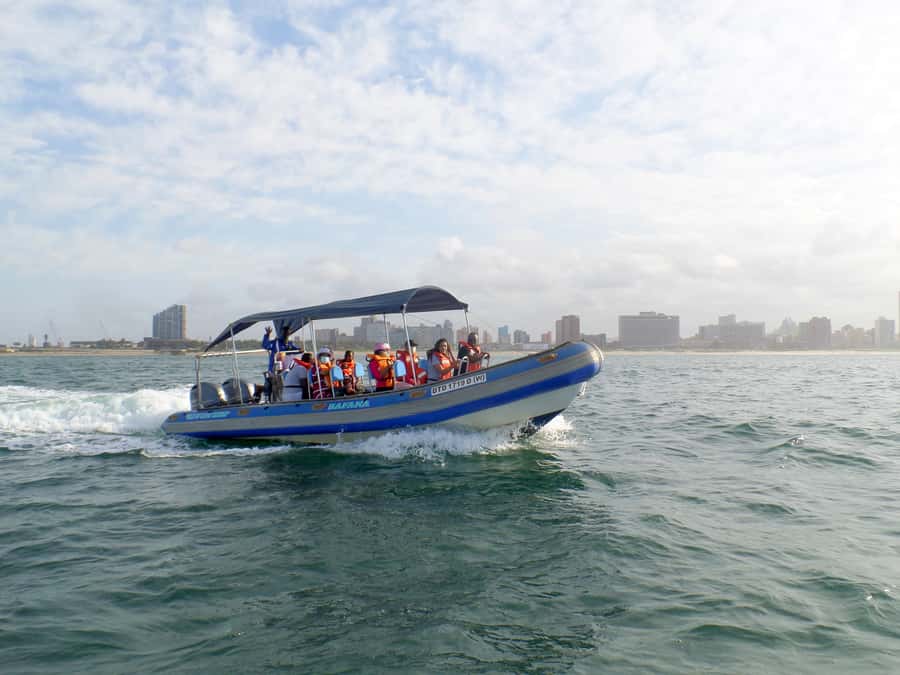 Durban: 1-Hour Boat Cruise from Wilson's Wharf - Watching the Port of Durban operate like a living machine