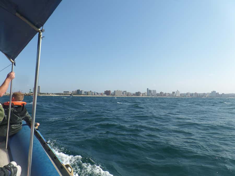 Durban: 1-Hour Boat Cruise from Wilson's Wharf - The skyline angle: where the city suddenly makes sense