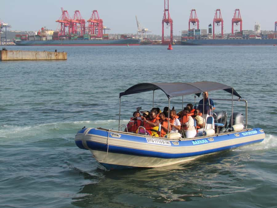 Durban: 1-Hour Boat Cruise from Wilson's Wharf - Dolphins and wildlife: fun when it happens, not a guarantee